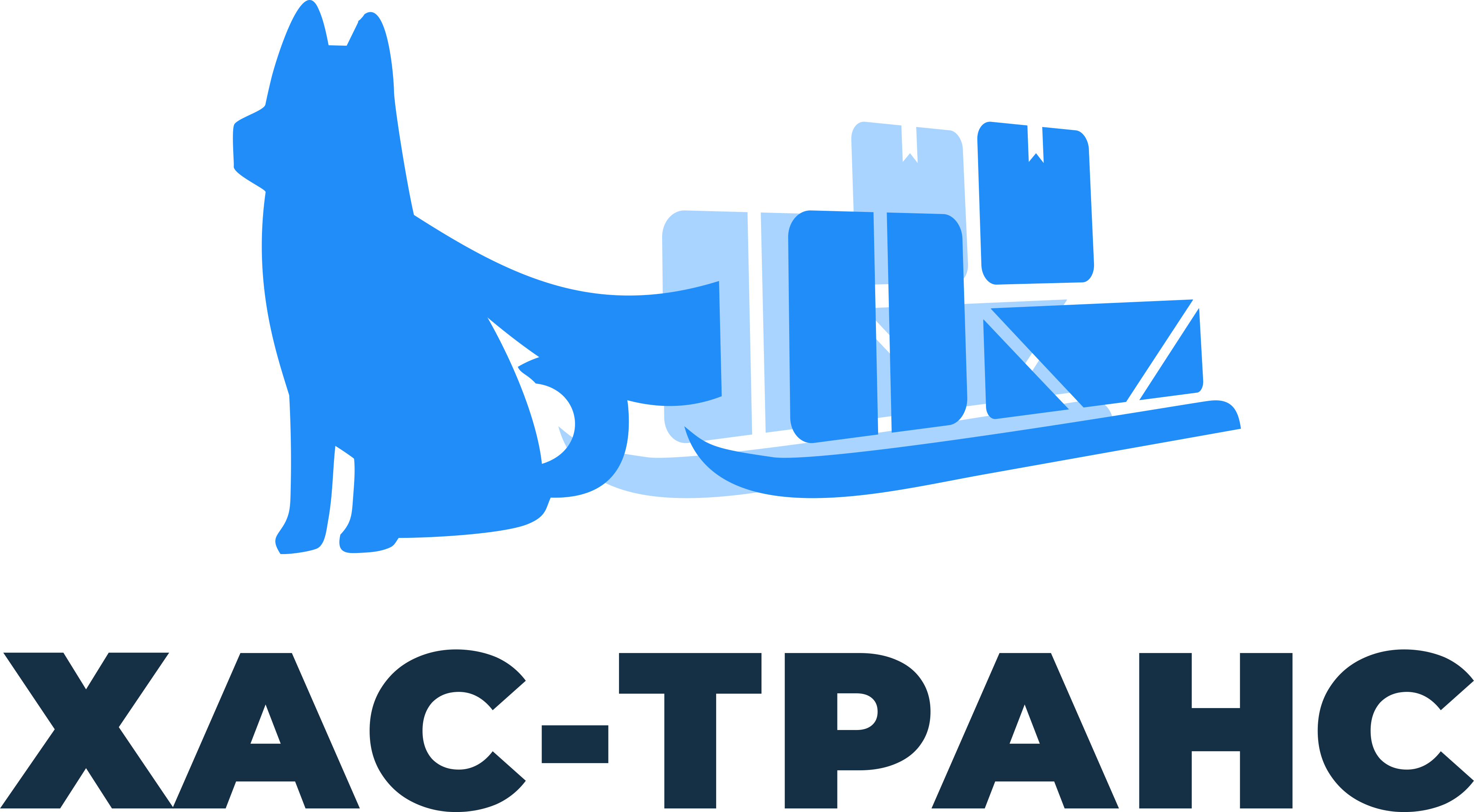 Грузоперевозки от транспортной компании Has-trans
